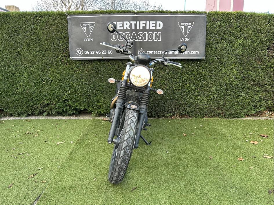 TRIUMPH SCRAMBLER 900