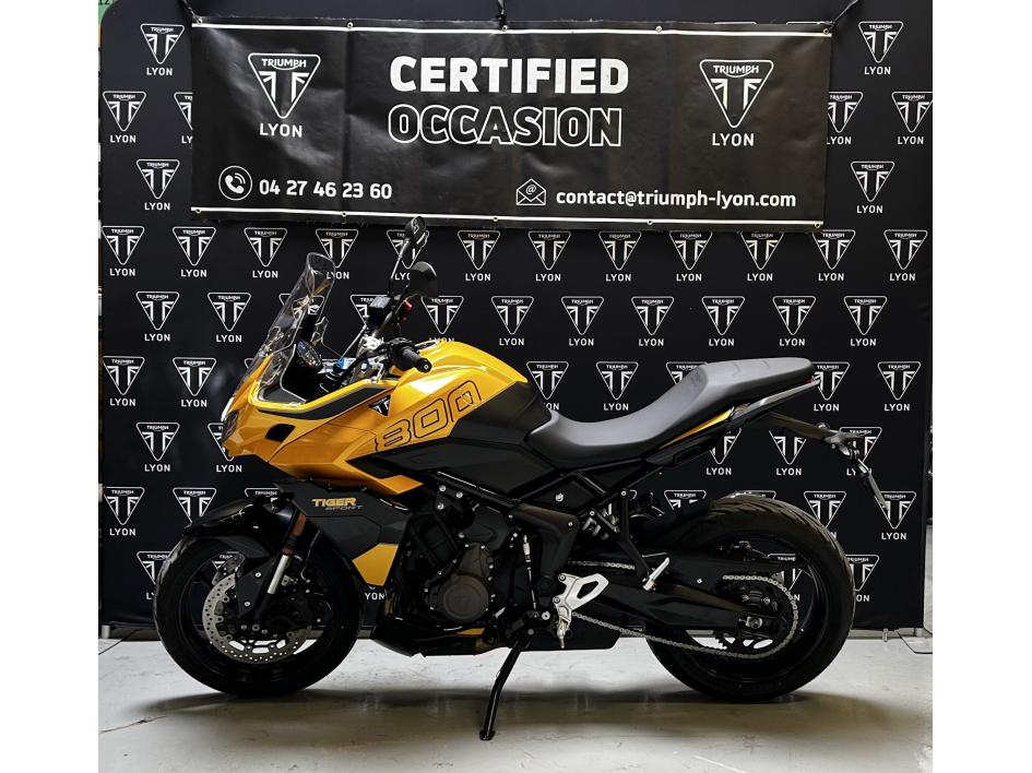TRIUMPH TIGER 800