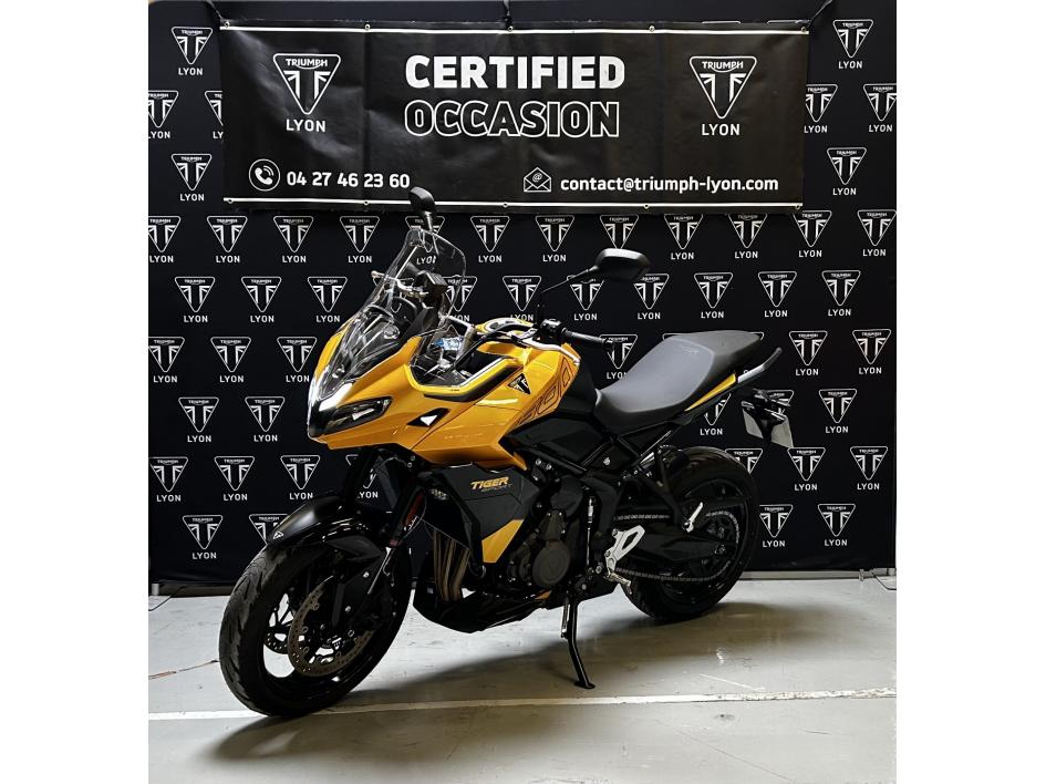 TRIUMPH TIGER 800