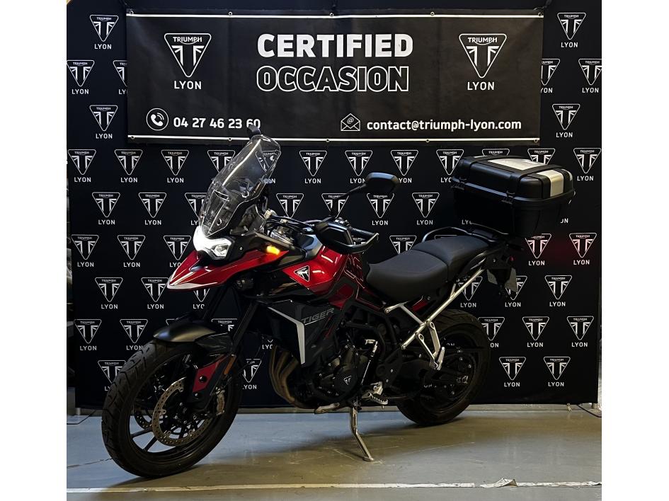 TRIUMPH Tiger 900 GT PRO